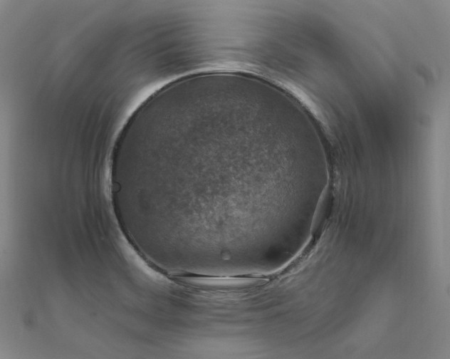 X0000112011468200908031256