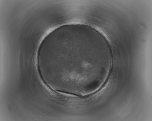 X0000112011469200908031256