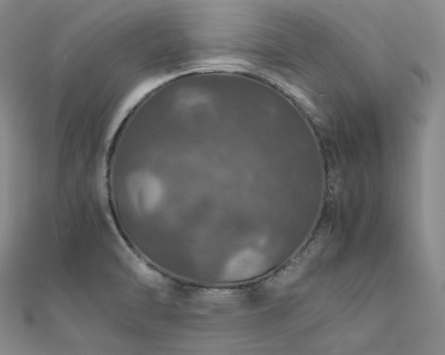 X0000112011470200908031256