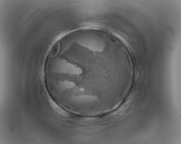 X0000112011471200908031256