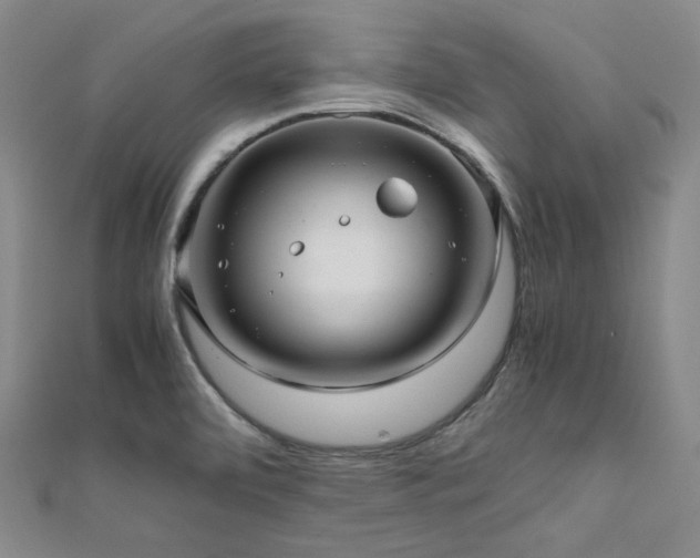 X0000112011472200908031256