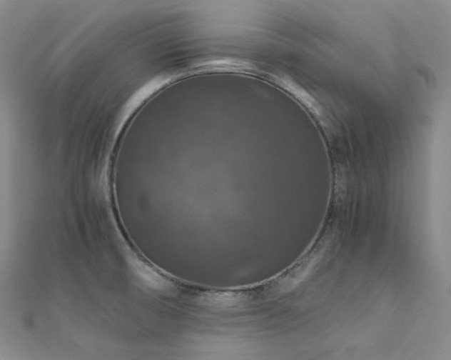 X0000112011474200908031256