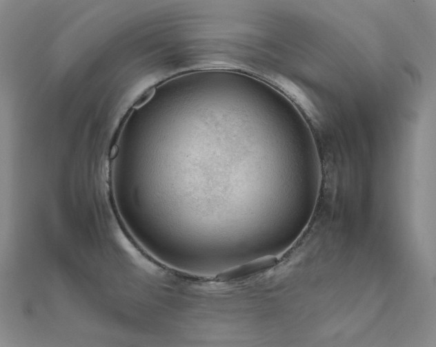 X0000112011476200908031256