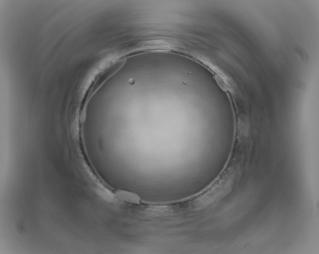 X0000112011477200908031256