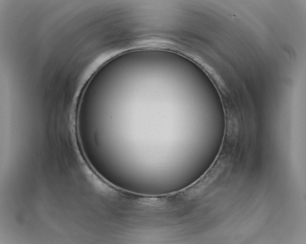 X0000112011478200908031256