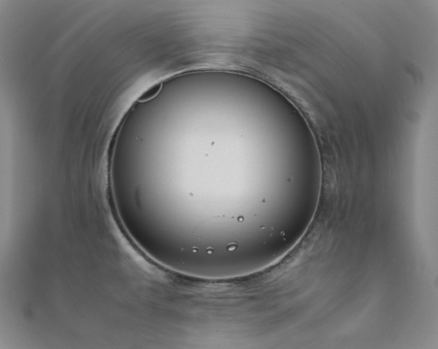 X0000112011479200908031256