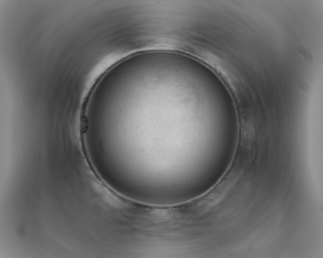 X0000112011480200908031256
