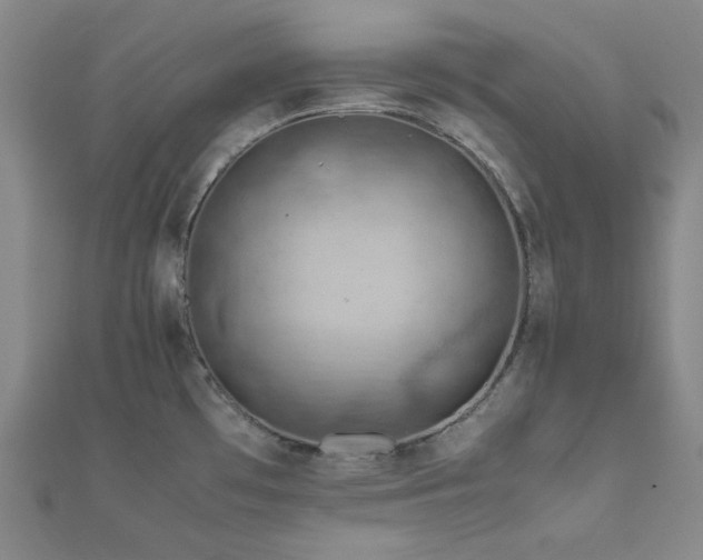 X0000112011481200908031256