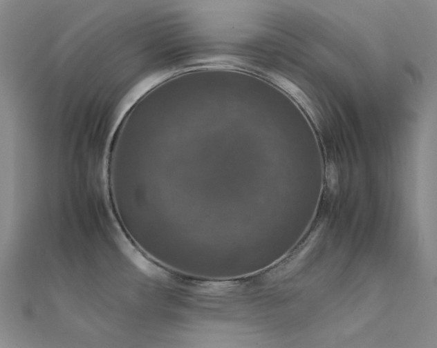 X0000112011482200908031256