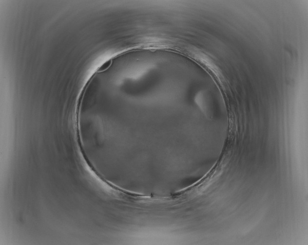 X0000112011487200908031256