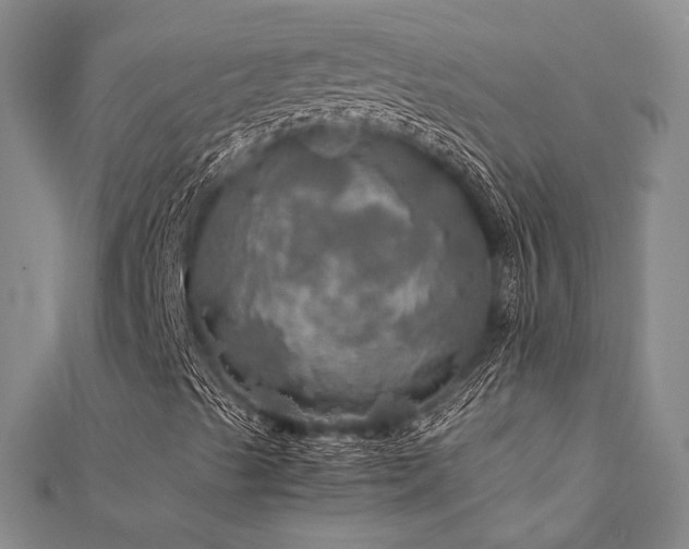 X0000112011489200908031255