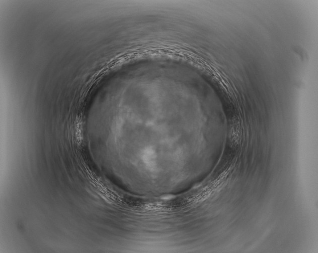 X0000112011490200908031255