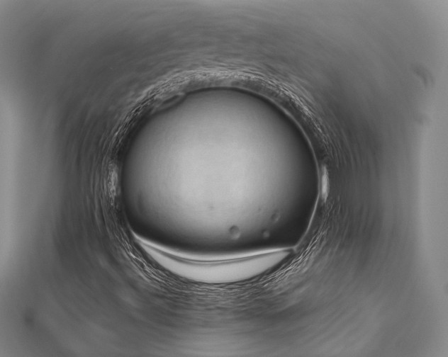 X0000112011492200908031255