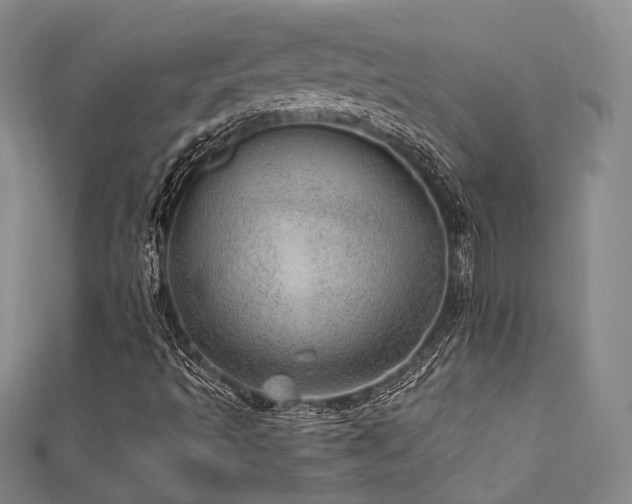 X0000112011493200908031255