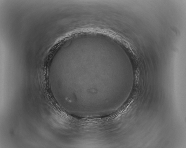 X0000112011494200908031255