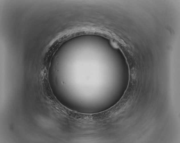 X0000112011495200908031255