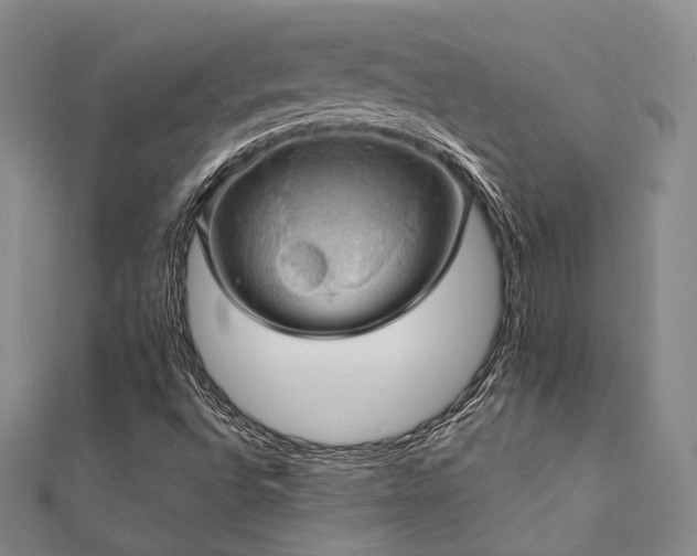 X0000112011496200908031255