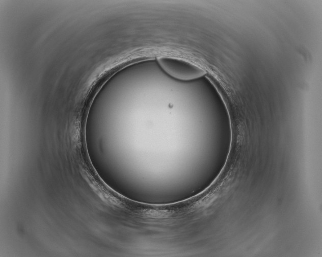 X0000112011499200908031255