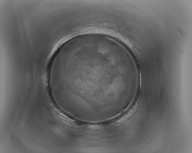 X0000112011501200908031255