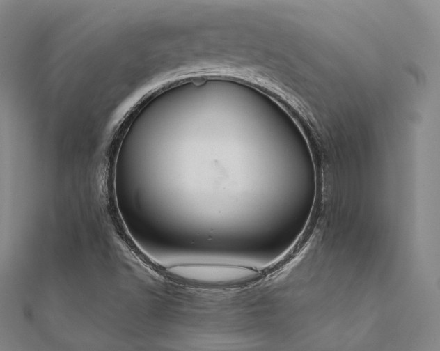 X0000112011502200908031255