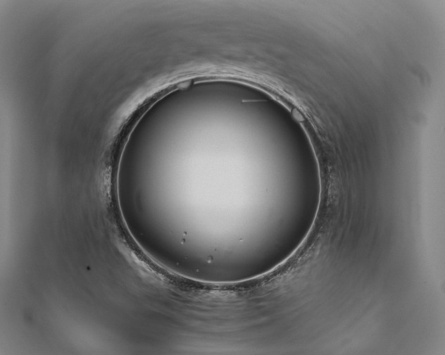 X0000112011503200908031255