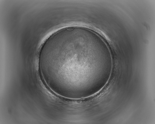 X0000112011504200908031256