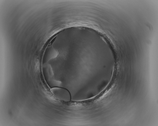 X0000112011505200908031256