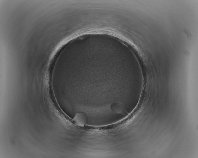 X0000112011506200908031256