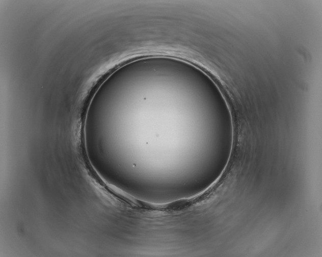 X0000112011507200908031256