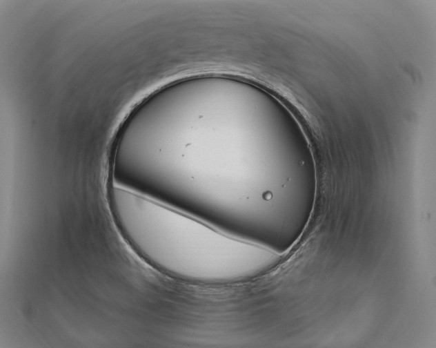 X0000112011508200908031256