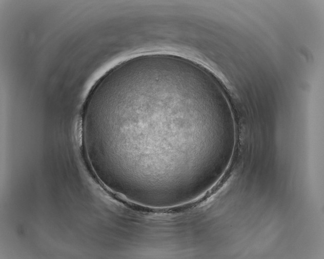 X0000112011510200908031256