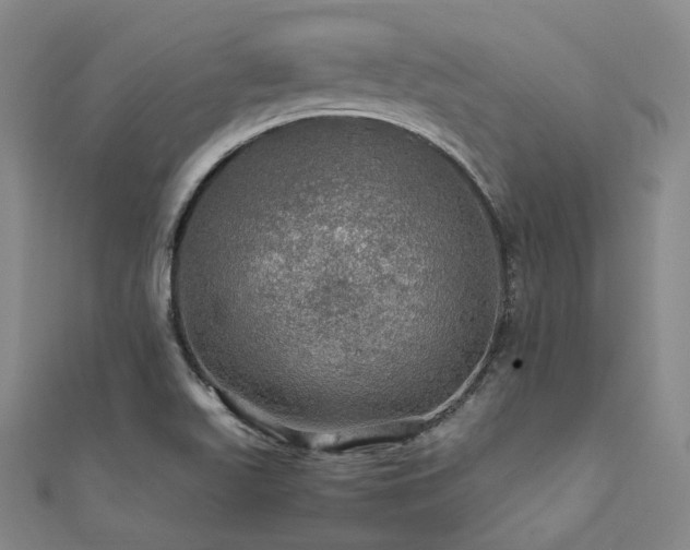 X0000112011511200908031256