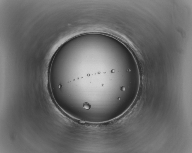 X0000112011512200908031256