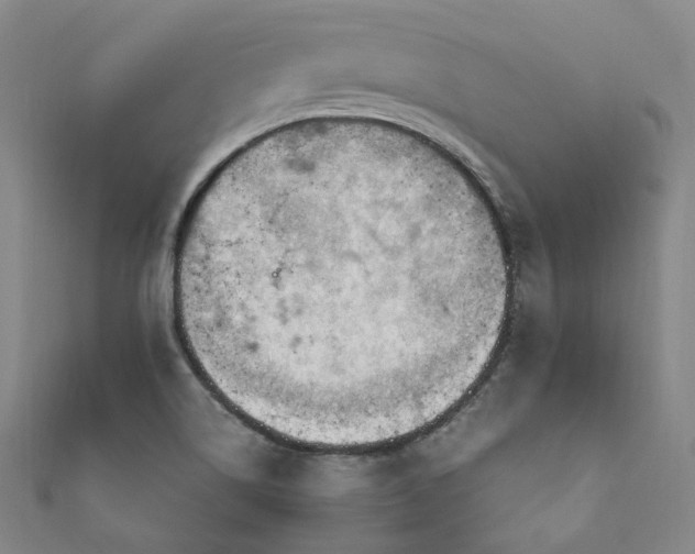 X0000112011514200908031256