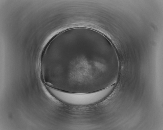 X0000112011515200908031256