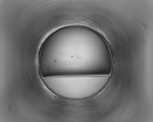 X0000112011516200908031256