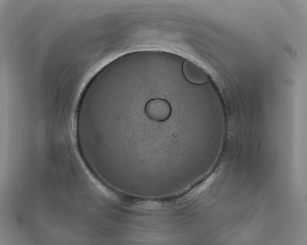 X0000112011517200908031256
