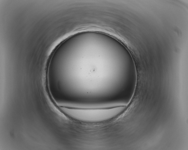 X0000112011518200908031256