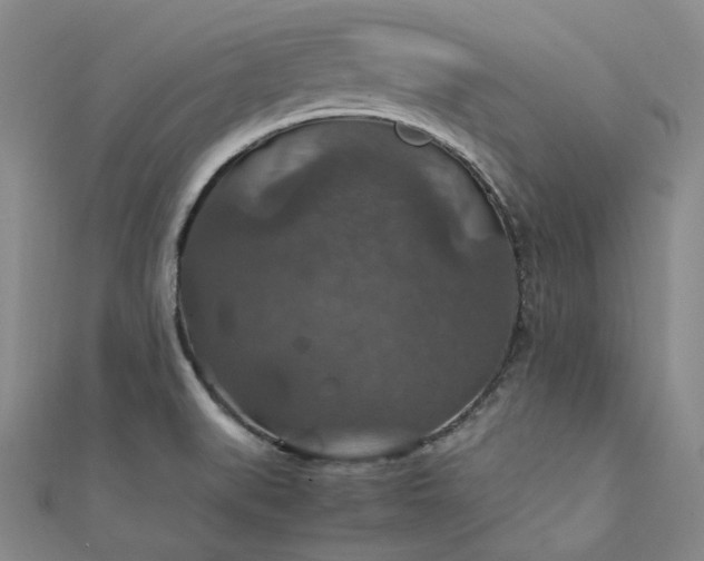 X0000112011519200908031256