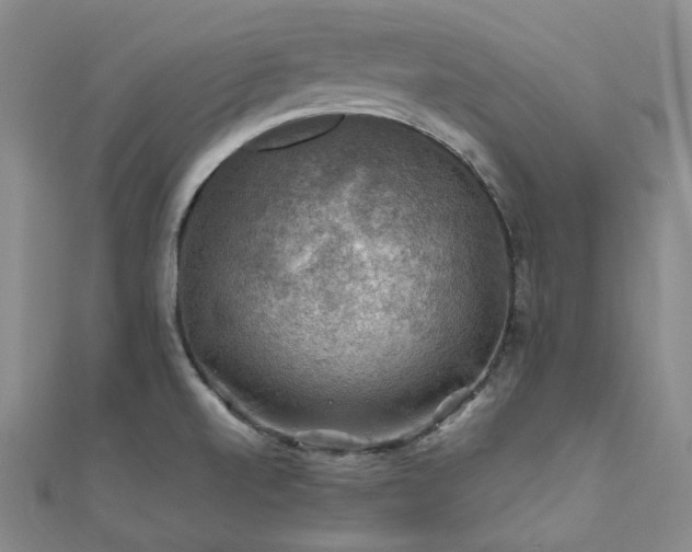 X0000112011520200908031256
