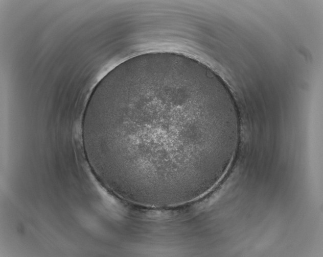 X0000112011521200908031256