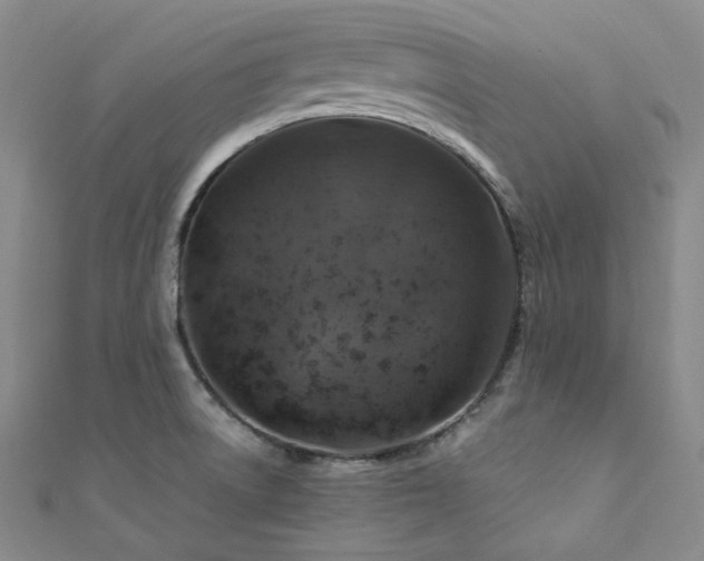 X0000112011522200908031256