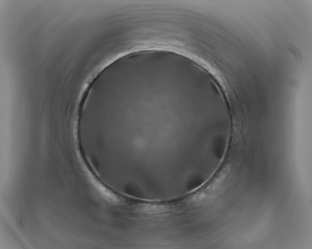 X0000112011525200908031256