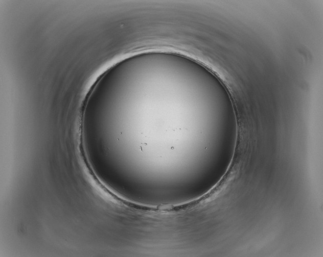 X0000112011526200908031256