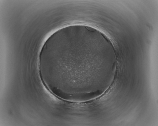 X0000112011527200908031256