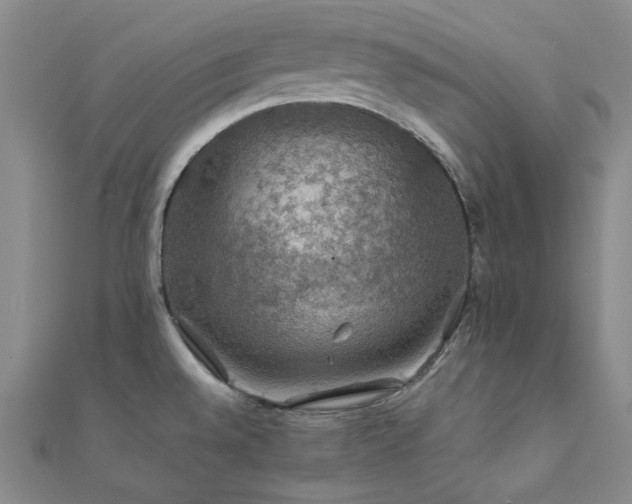X0000112011528200908031256