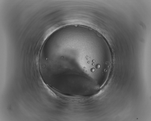 X0000112011529200908031256