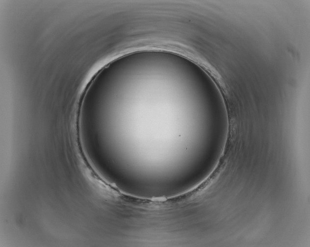 X0000112011530200908031256