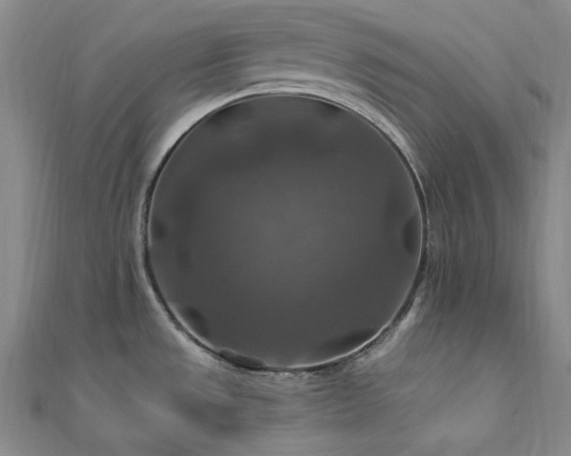 X0000112011533200908031256