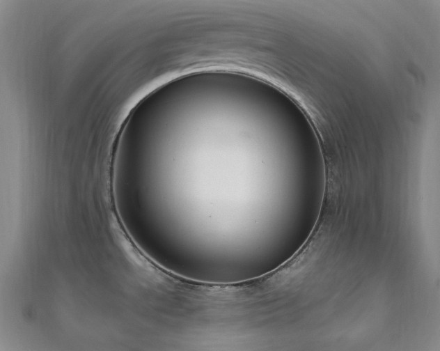 X0000112011534200908031256